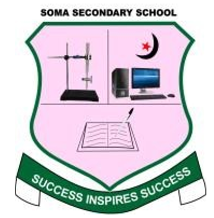 School Partner Logo